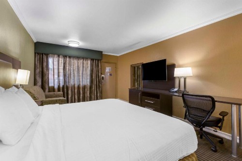 Best Western Royal Sun Inn & Suites - image 19