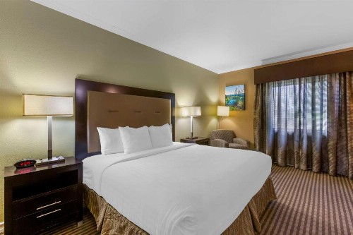 Best Western Royal Sun Inn & Suites - image 22