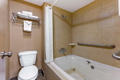 Best Western Royal Sun Inn & Suites - image 29