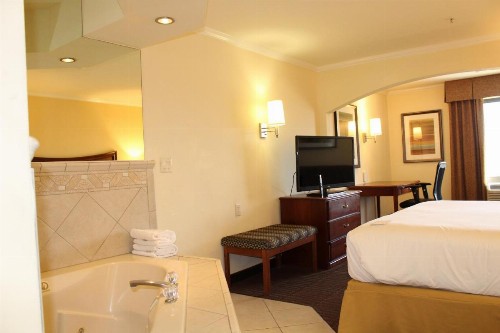 Holiday Inn Express Hotel & Suites Tucson Mall an IHG Hotel - image 31