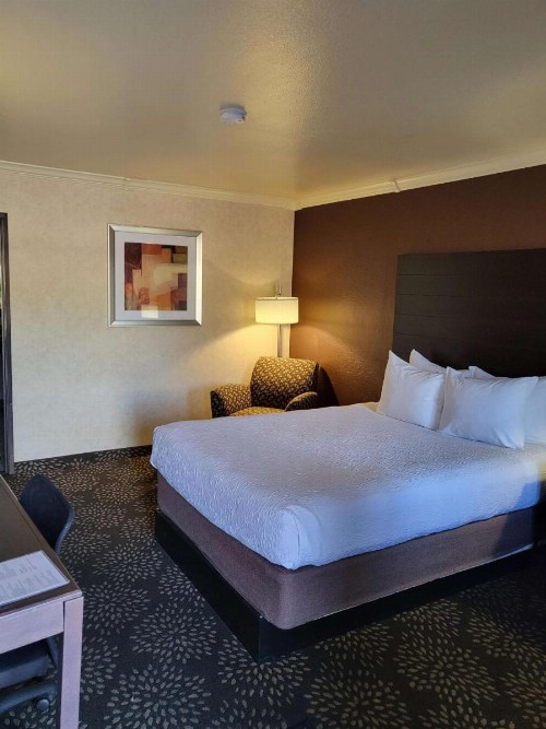 Best Western InnSuites Tucson Foothills Hotel & Suites - image 4