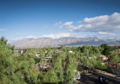 Embassy Suites by Hilton Tucson East - image 10