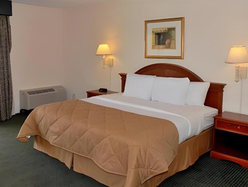 Quality Inn - image 24