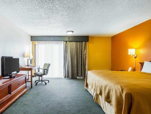 Quality Inn - image 25