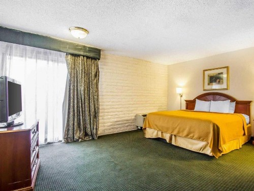 Quality Inn - image 28