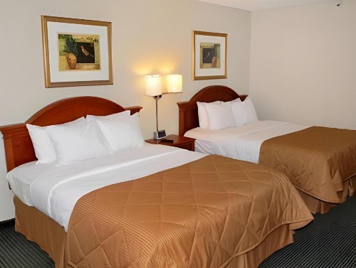 Quality Inn - image 47