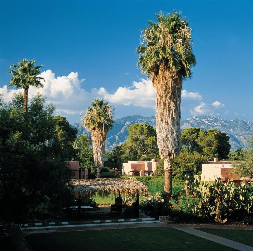 Arizona Inn - image 30
