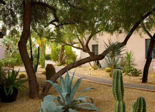 Lodge On The Desert - image 5