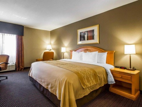 Comfort Inn Tucson - image 31