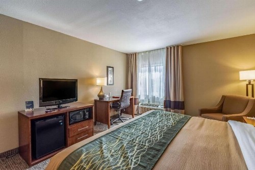 Comfort Inn Tucson - image 34