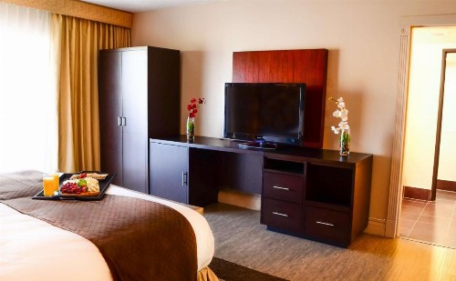 DoubleTree Suites by Hilton Tucson Airport - image 23