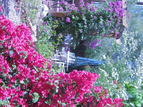 Mon Ami Bed and Breakfast - image 14