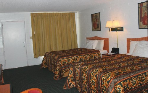 Amazon Motel - image 6