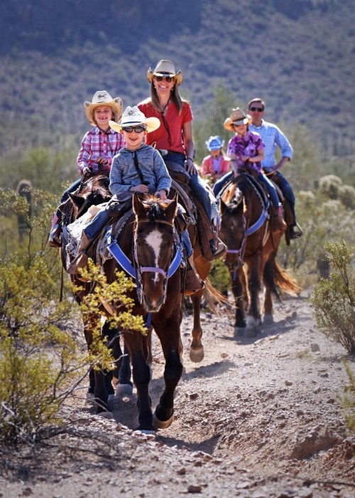 White Stallion Ranch - image 16