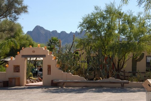 White Stallion Ranch - image 26