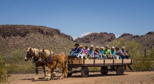 White Stallion Ranch - image 5
