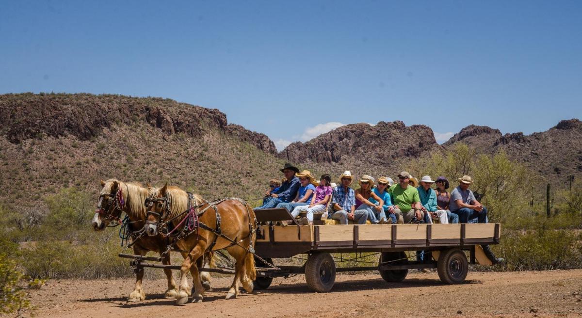 White Stallion Ranch - image 5
