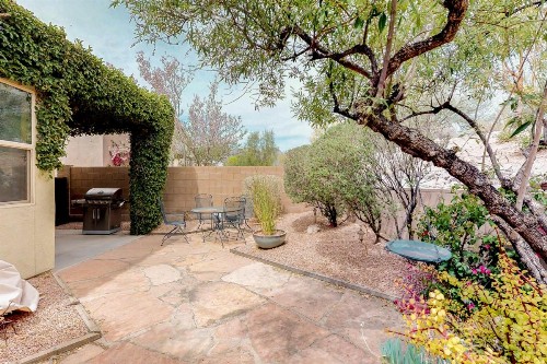 Tucson Foothills #222 - image 12