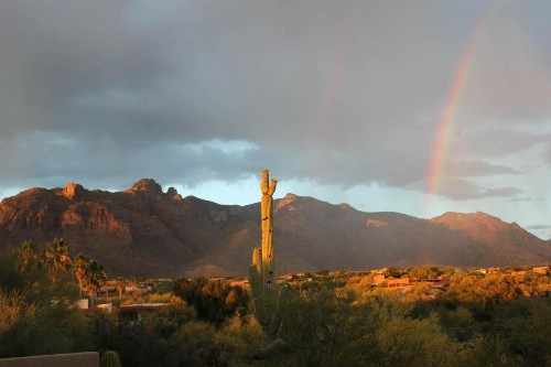 Catalina Foothills - image 4