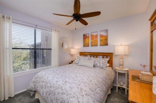 Treetops at Ventana - image 6