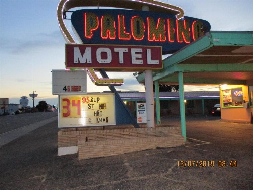 Palomino Motel - image 11