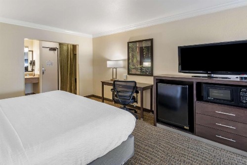 Best Western Town & Country Lodge - image 17