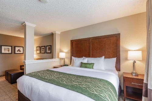 Comfort Inn South Tulsa - Woodland Hills - image 6