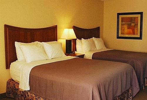Trade Winds Central Inn - image 19