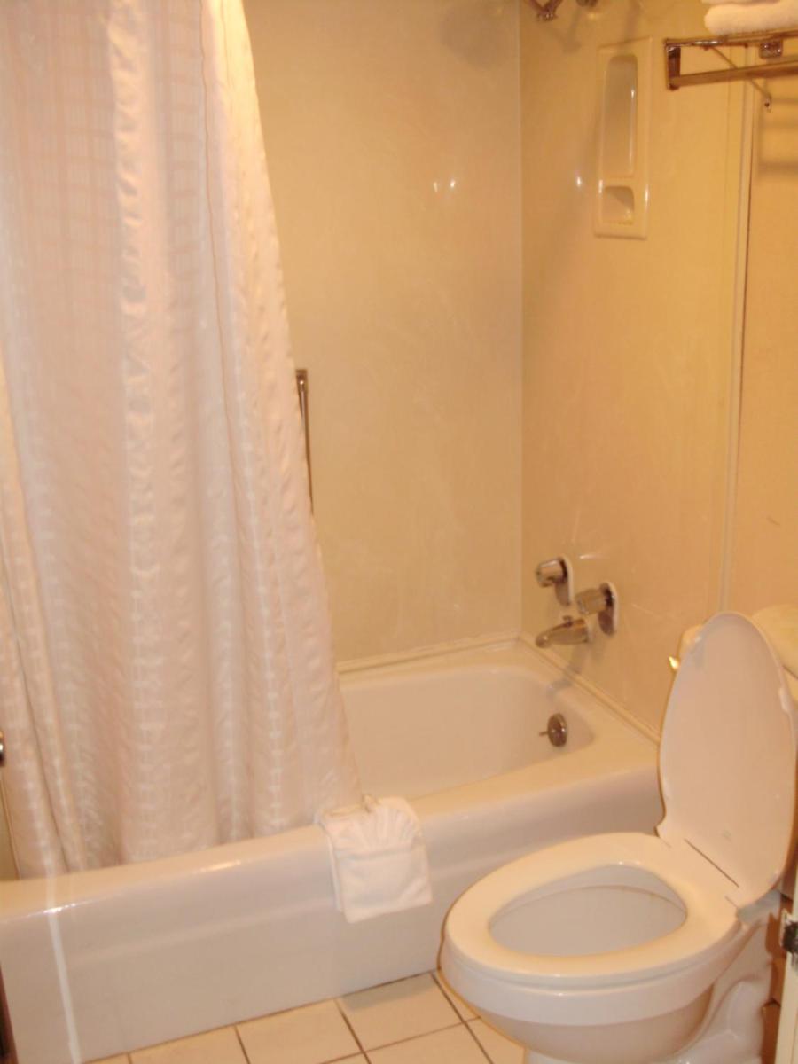 Trade Winds Central Inn - image 3