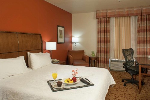 Hilton Garden Inn Tulsa Airport - image 22
