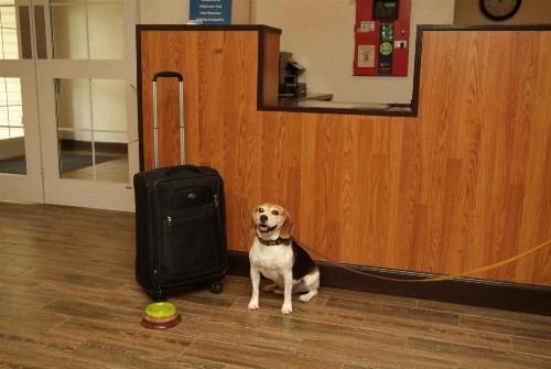 Expo Inn - image 17
