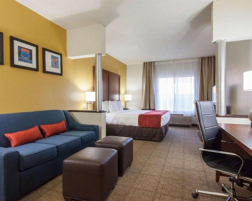 Comfort Suites Central / I-44 - image 11