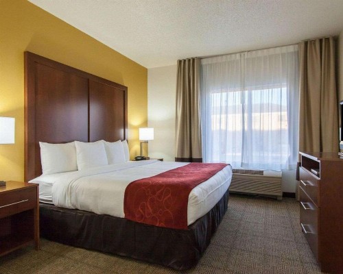Comfort Suites Central / I-44 - image 26