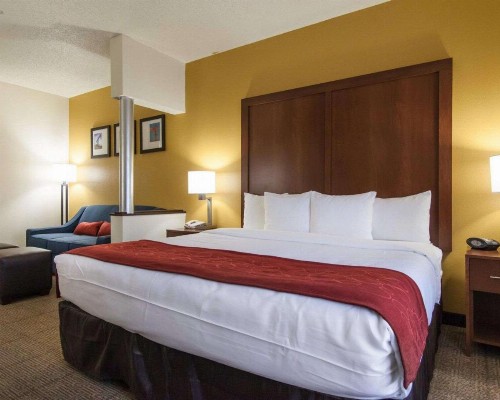 Comfort Suites Central / I-44 - image 27