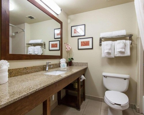 Comfort Suites Central / I-44 - image 39