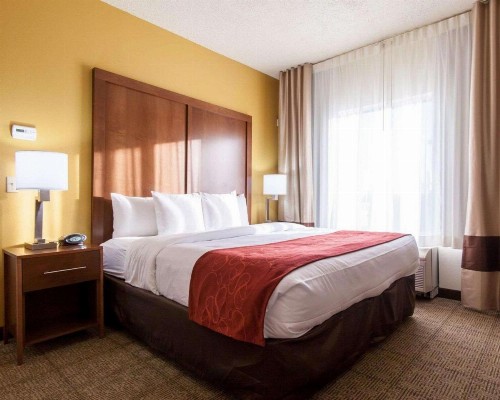Comfort Suites Central / I-44 - image 45