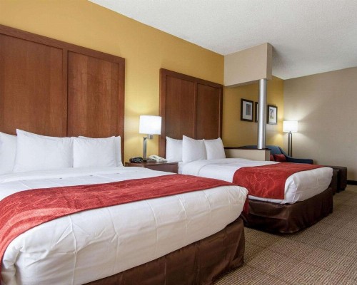 Comfort Suites Central / I-44 - image 46