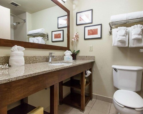 Comfort Suites Central / I-44 - image 5