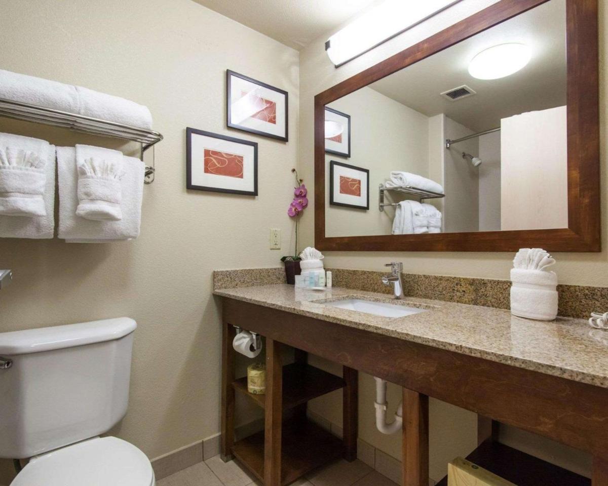 Comfort Suites Central / I-44 - image 6