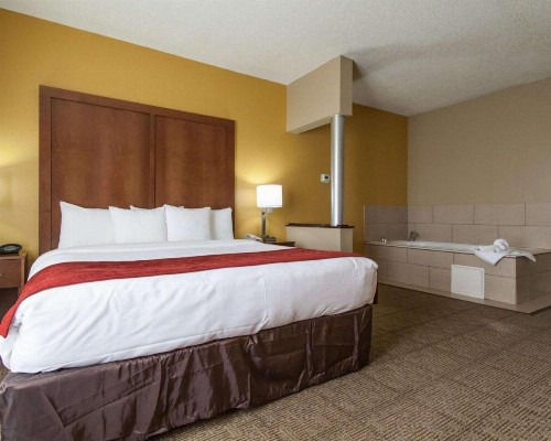 Comfort Suites Central / I-44 - image 9