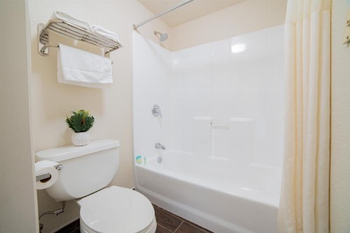 Turlock Inn - image 7