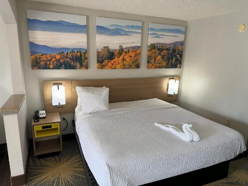 Days Inn & Suites by Wyndham Tuscaloosa - Univ. of Alabama - image 9