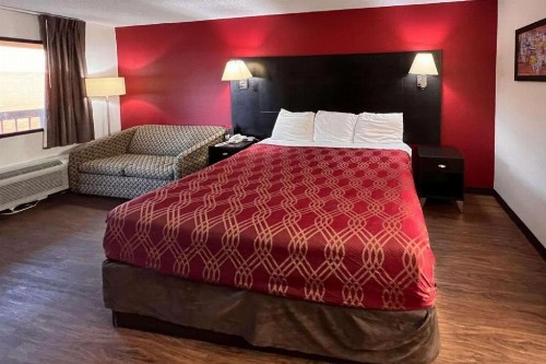 Econo Lodge Inn & Suites Tuscaloosa - image 8