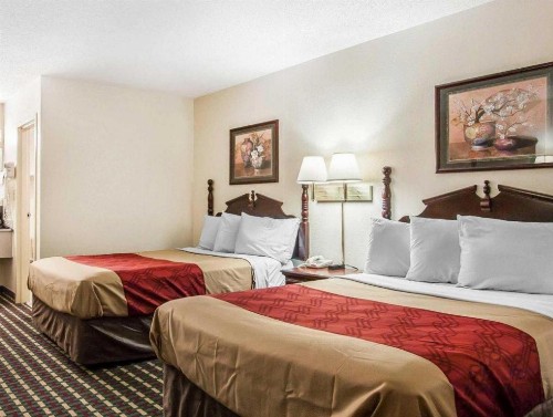 Econo Lodge Inn & Suites Tuscaloosa - image 13