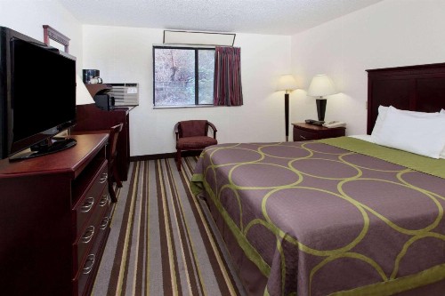Super 8 by Wyndham Tuscaloosa - image 11