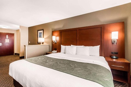Comfort Suites Tuscaloosa near University - image 26