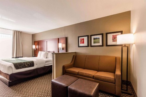 Comfort Suites Tuscaloosa near University - image 33