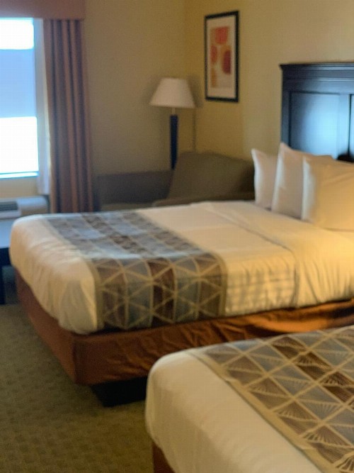 Ambassador Inn & Suites - image 11