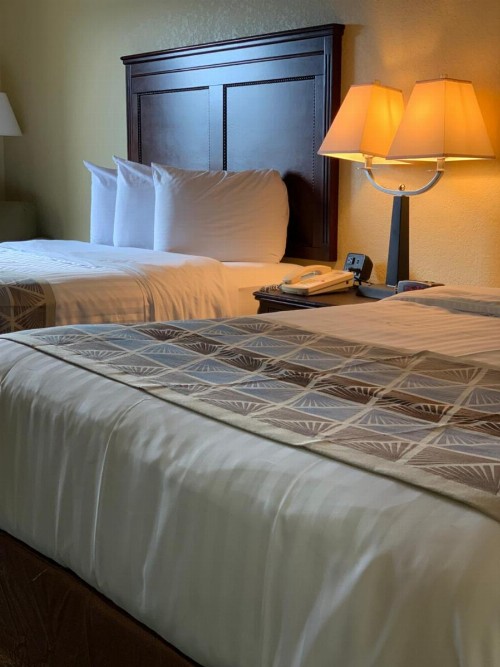 Ambassador Inn & Suites - image 15