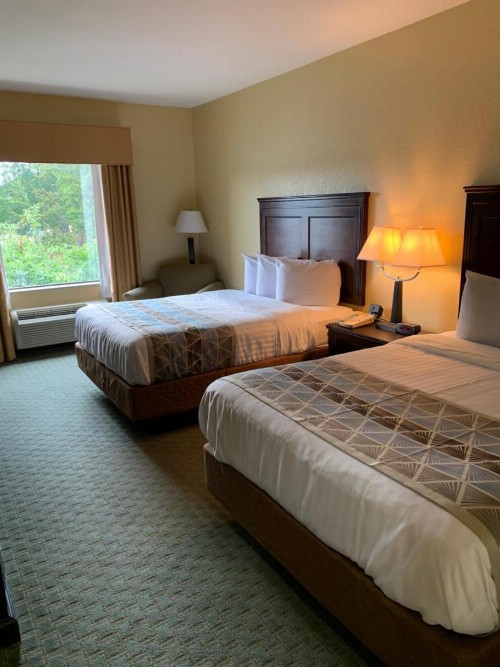 Ambassador Inn & Suites - image 17